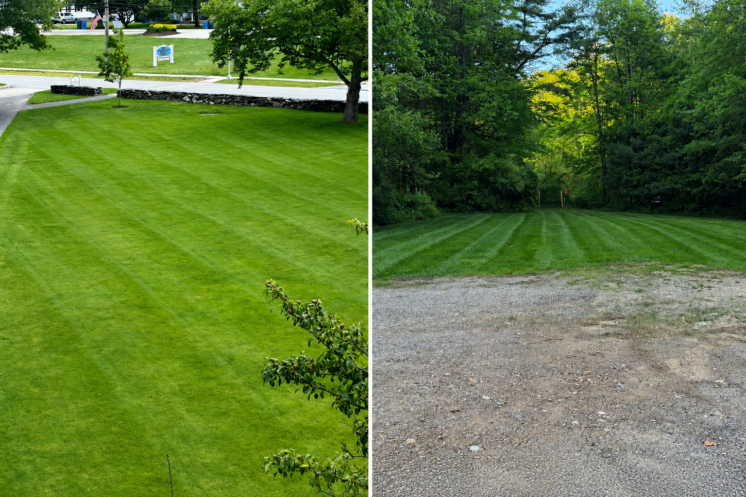 Lawn Maintenance