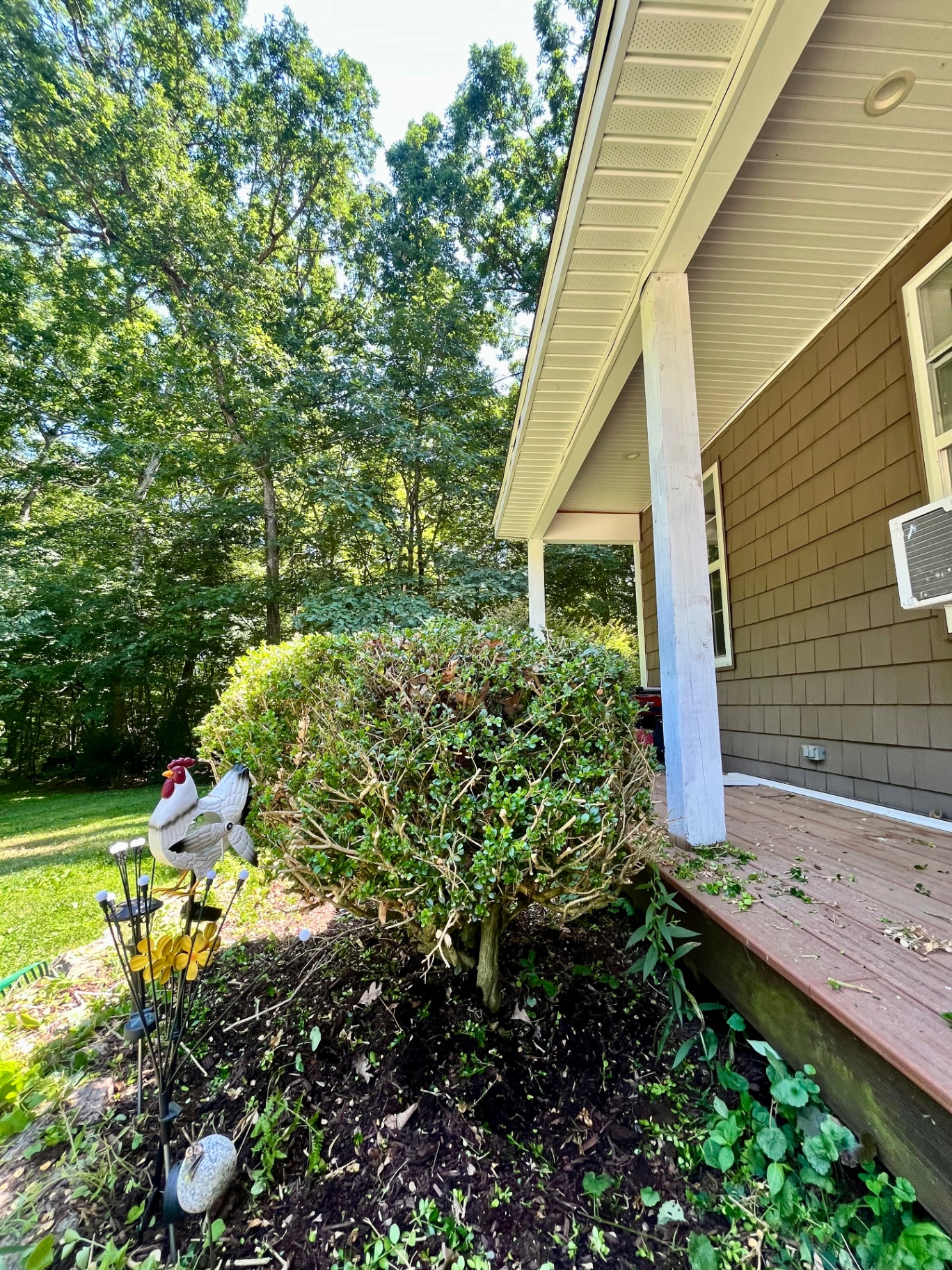 Hedge Trimming
